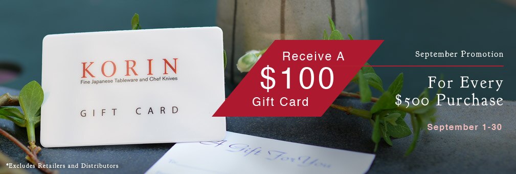 Gift Card Promotion