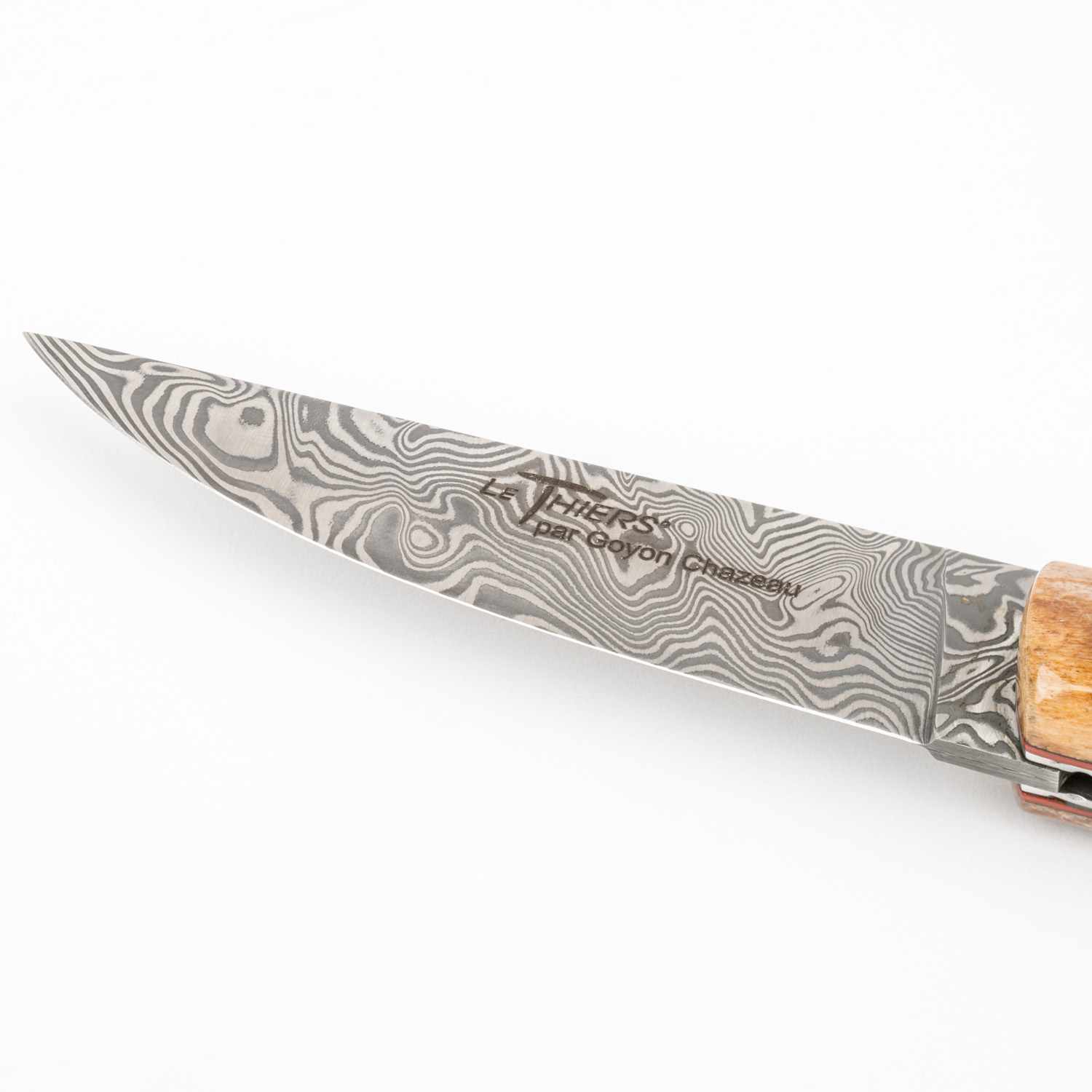 Image of Le Thiers Pirou Tri-Bone Folding Knife 5